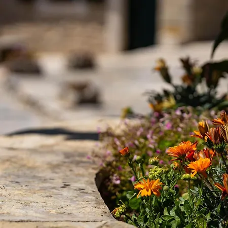 別荘 My Dalmatia - Hilltop Paradise With Private Pool, Sauna And Jacuzzi