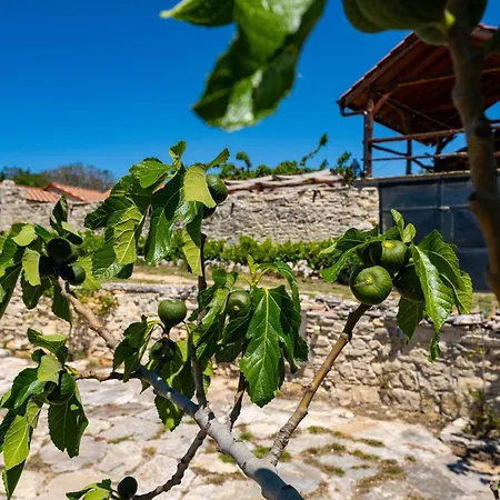 別荘 My Dalmatia - Hilltop Paradise With Private Pool, Sauna And Jacuzzi