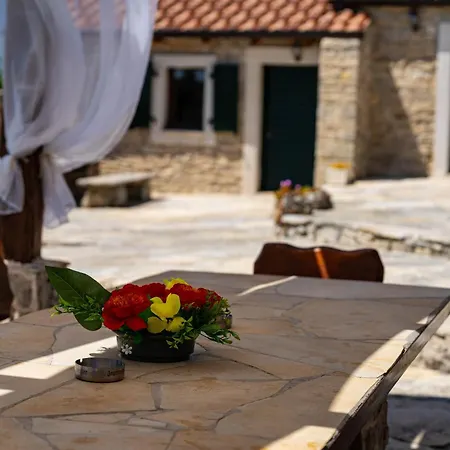 Holiday home My Dalmatia - Hilltop Paradise With Private Pool, Sauna And Jacuzzi *
