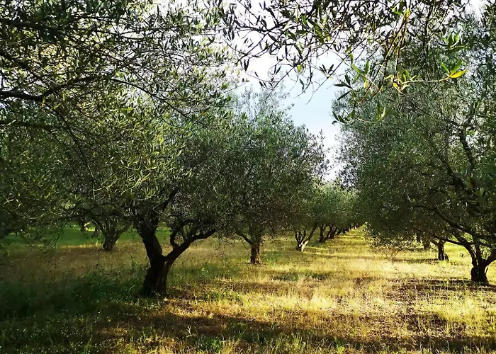 Casa vacanze My Dalmatia - Hilltop Paradise With Private Pool Kula Atlagica